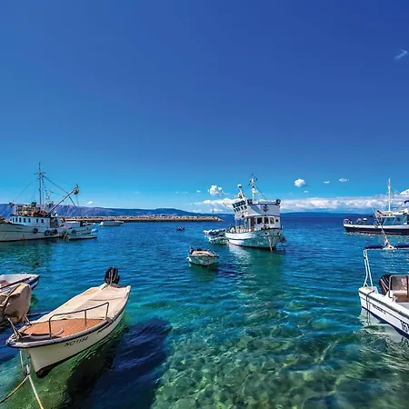 Cozy In * Кленовица